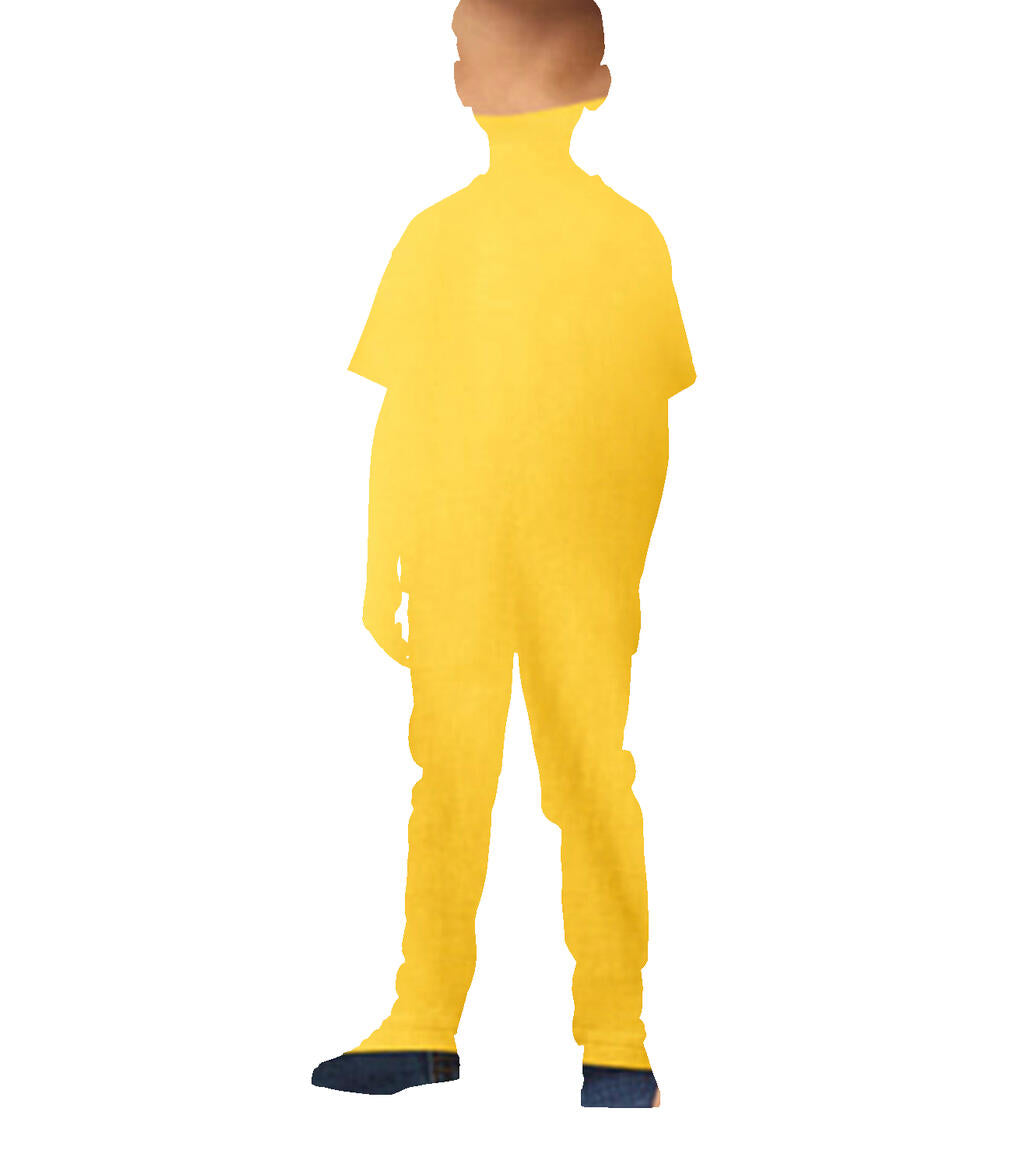 Softstyle Midweight Youth T-Shirt - ShirtStore