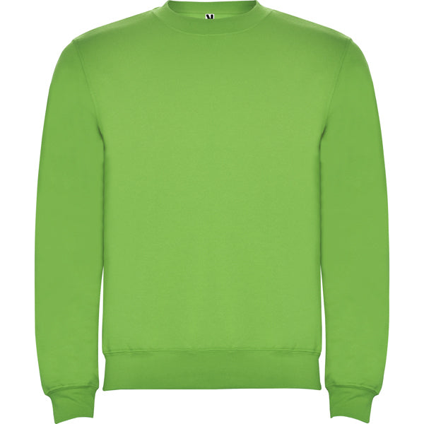 Pullover Clasica  in Farbe Oasis Green