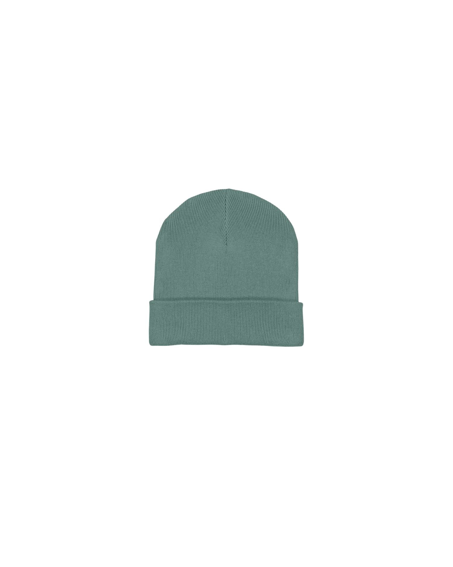 Rib Beanie in Farbe Green Bay